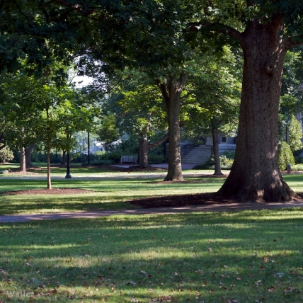 A sight of Chapel Hill, NC, USA