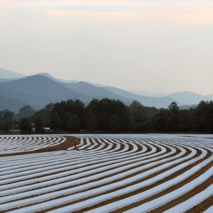 A sight of Erwin, TN, USA