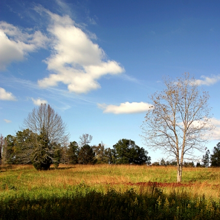 A sight of Fort Mill, SC, USA