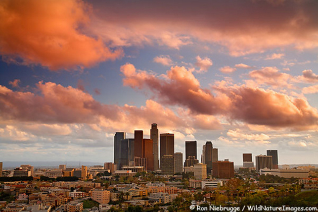 A sight of Los Angeles, CA, USA