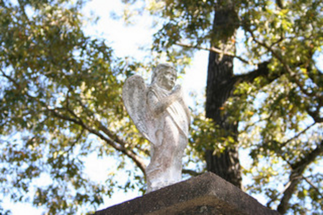 A sight of Montevallo, AL, USA